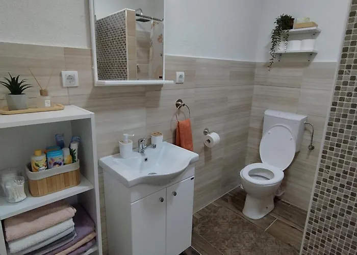 Jaz 바이나 바슈타